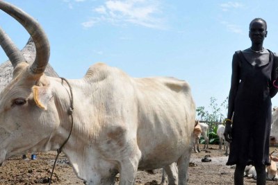 Une bergère avec son bétail au Soudan (photo d'archives