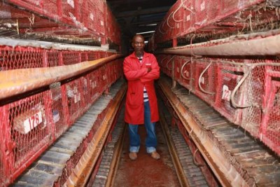 Kenyan small-scale farmer and entrepreneur Muriithi James Kibuku farms rabbits not just for their meat, and fur but also for their urine.