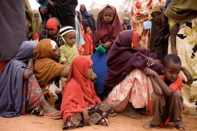 Somalia faces catastrophic hunger, with the country devastated by the extreme and worsening drought in the Horn of Africa, the World Food Programme reports. More than seven million people face acute food insecurity amid the driest conditions in 40 years.