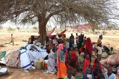Sudanese refugees shelter under a tree in a village 5 kilometres across the border in neighbouring Chad (file photo).