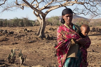 The El Niño-induced drought in Ziway Dugda, Oromia region of Ethiopia, is affecting every family and they don't have enough food at home to feed themselves. (file photo).