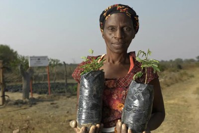 Breaking the Silence: CARE International Report on the 10 most under-reported humanitarian crises of 2023