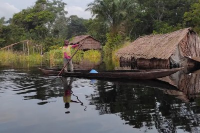 DR Congo's peatlands