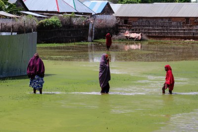 Women in flood-hit Somalia are often on the frontlines of the climate crisis.