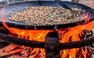 Adesina, copr&Atilde;&copy;sidera le Sommet sur la cuisson propre en Afrique