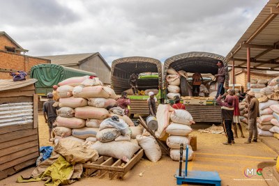 La disponibilité du riz sur le marché local contribue à réduire les importations (photo d'illustration)