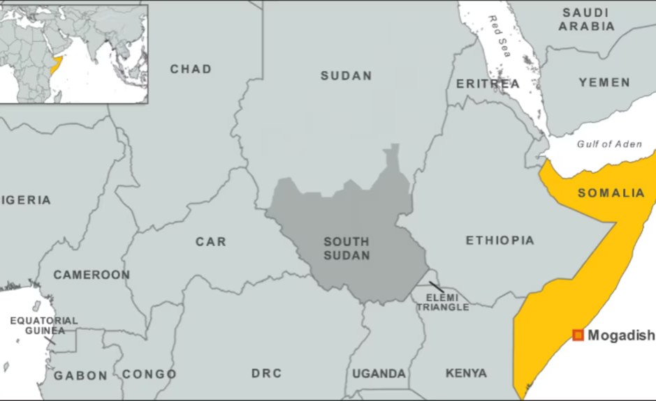 Somalia: Senior Somali Presidential Adviser Resigns Amid Political Tensions