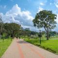 New Uhuru Park Reopens Its Gates in Nairobi