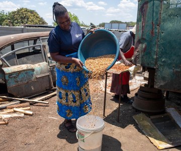 El Nino Crushes Trade in Zimbabwe But Not Hope