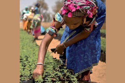 In Koyli Alpha, Senegal, women from the community work in nurseries created in the village as part of the Great Green Wall Initiative, which aims to improve people’s lives and the sustainability of the land.