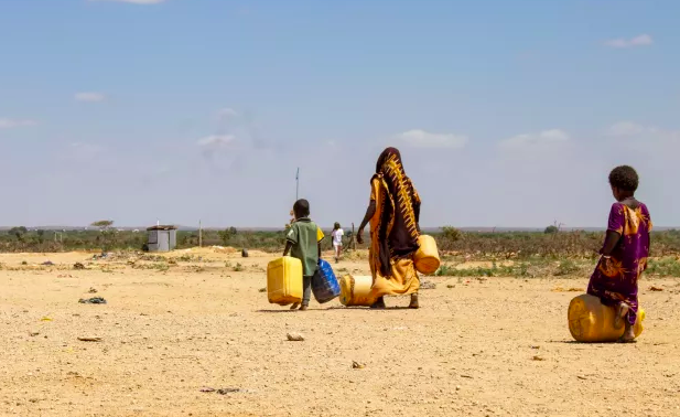 Rising Hunger Crisis In Somalia as Millions Go Hungry, WFP Warns