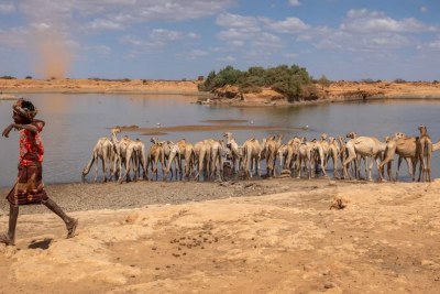 A scene from the Somali region of Ethiopia. Countrywide, at least 21 million people face multiple overlapping challenges including conflict, drought, flooding and disease outbreaks.