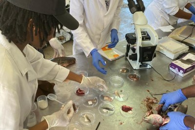 University of Namibia students working at the Sam Nujoma campus.