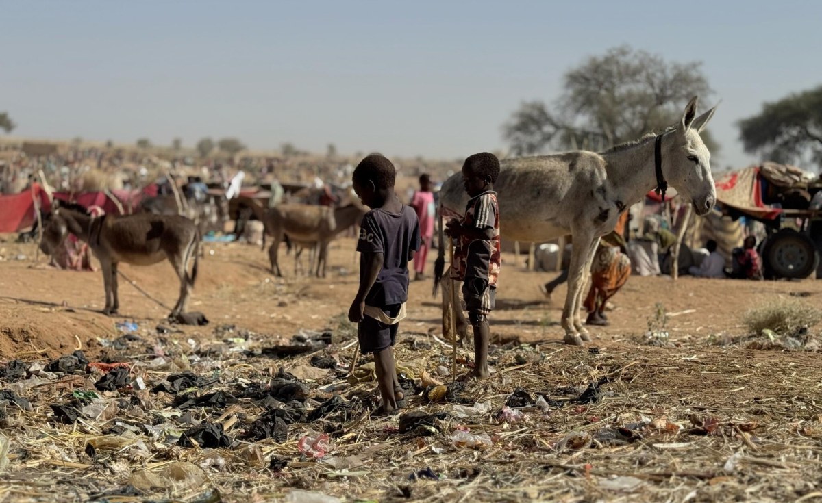 Sudan: RSF Opponents Turn Darfur Camp Into Barracks, Displacing Thousands thumbnail