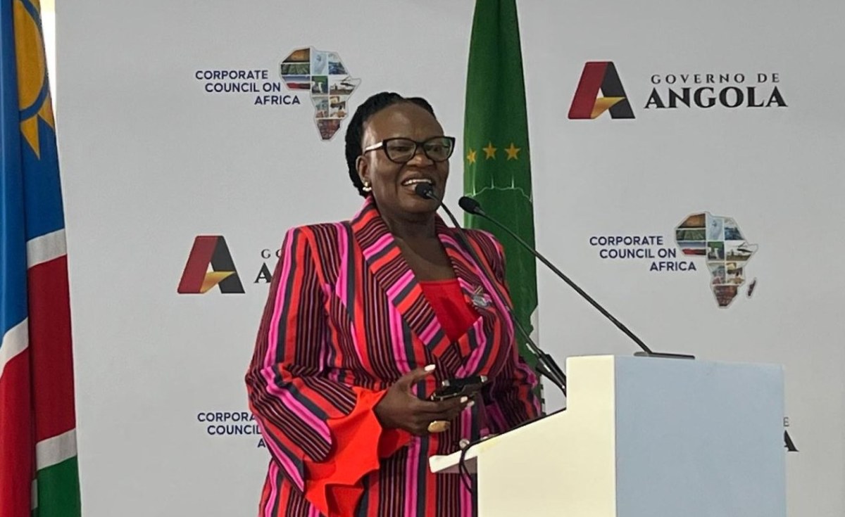 Namibia: Namibia at the USA-Africa Industry Summit: Gateway to Southern Africa's Emerging Markets thumbnail