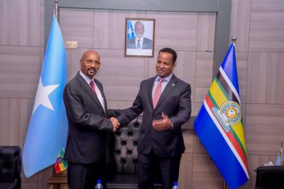 Amb. Suleiman Dedefo (left) presenting his credentials to Abdisalam Abdi Ali.