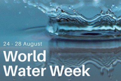 Affiche de la Semaine mondiale de l'eau
