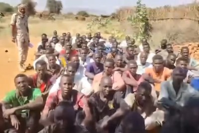 Fighters from Sudan’s Rapid Support Forces (RSF) have captured and forced dozens of young men to fight in the ongoing conflict around El Fasher, according to testimonies gathered by the Darfur Network for Human Rights.