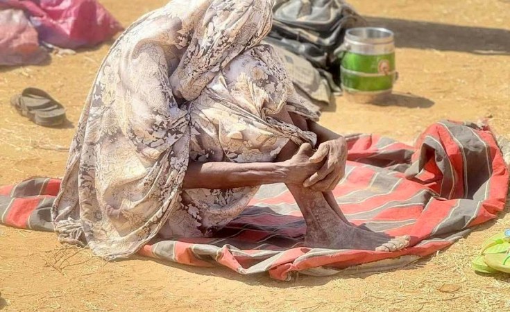 Sudan's War Escalates: El-Fasher Falls, Regional Powers Vow to Stop RSF