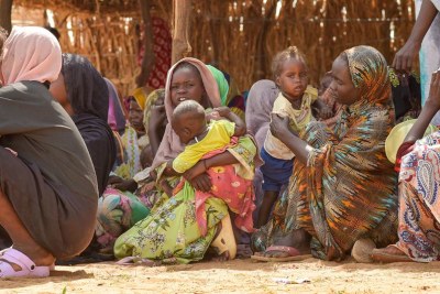 Families displaced from El Fasher, the capital of North Darfur, seek refuge in Tawila.