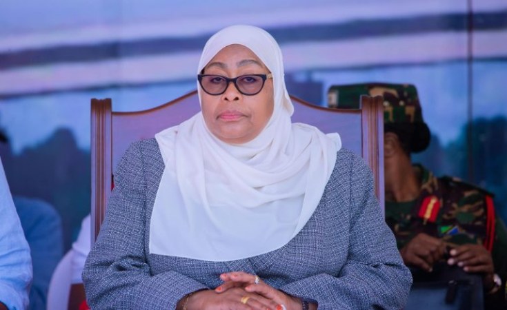 SADC Slams Tanzania's Election, Citing Flaws and Democracy Test Failure