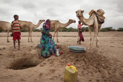 In Somaliland and Puntland, close to two million people are affected by the drought amid the El Niño phenomenon.