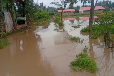 TheTana River Basin is on high alert as the dams could overflow soon if rainfall persists in the upper catchment areas.