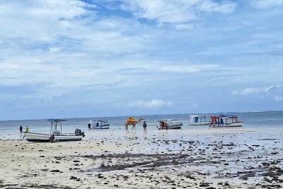A view of the Indian Ocean.