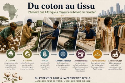 Du coton au tissu