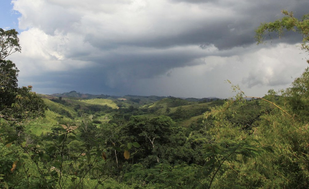 Madagascar: one of the most important places for life on earth