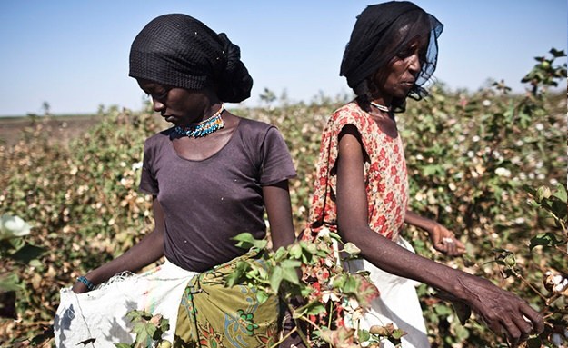 Africa: Can Ethiopia Weave Africas Complete Cotton-to-Clothing Value Chain?