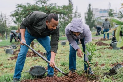 L'Éthiopie a organisé une vaste campagne nationale de plantation d'arbres dans le cadre de l'Initiative Green Legacy, avec pour objectif de mettreen terre 800 millions de plants en une seule journée.