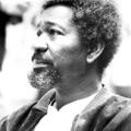 Wole Soyinka