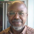 Elikia M�Bokolo