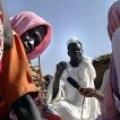 All About Darfur (2005)