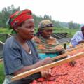 Ladies First: Rwandan Women Help Heal Their Nation (2004)