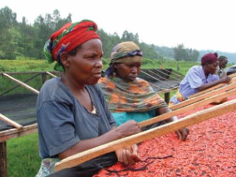 Ladies First: Rwandan Women Help Heal Their Nation (2004)