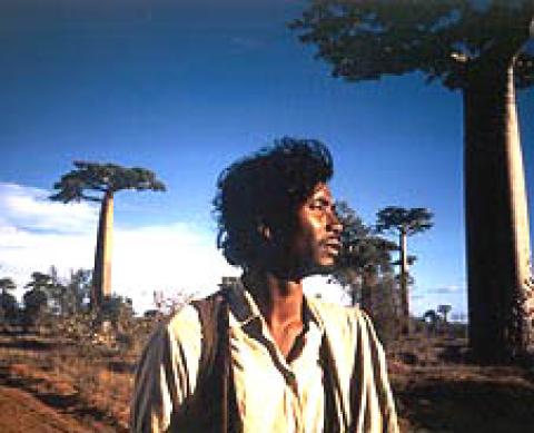 Quand Les Etoiles Rencontrent La Mer (When  the Stars Meet the Sea) (1996)