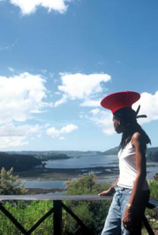 The Phantom Forest Eco Reserve