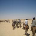 Camel Trekking