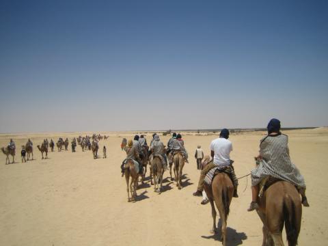 Camel Trekking