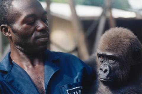 Limbe Wildlife Center