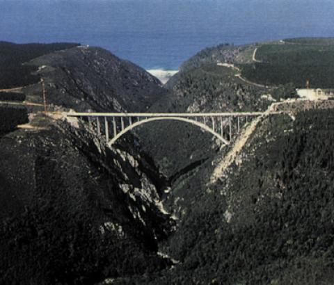 Bungee Jumping Bloukrans Bridge