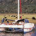 Sail Safaris