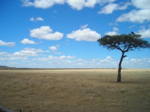 Masai Mara