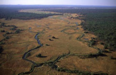 Kasanka National Park
