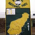 Mole National Park