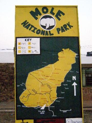 Mole National Park