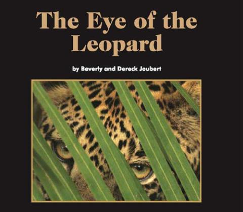 The Eye of the Leopard