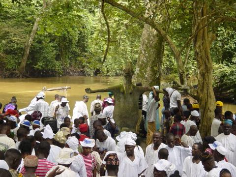 Osun Sacred Forest
